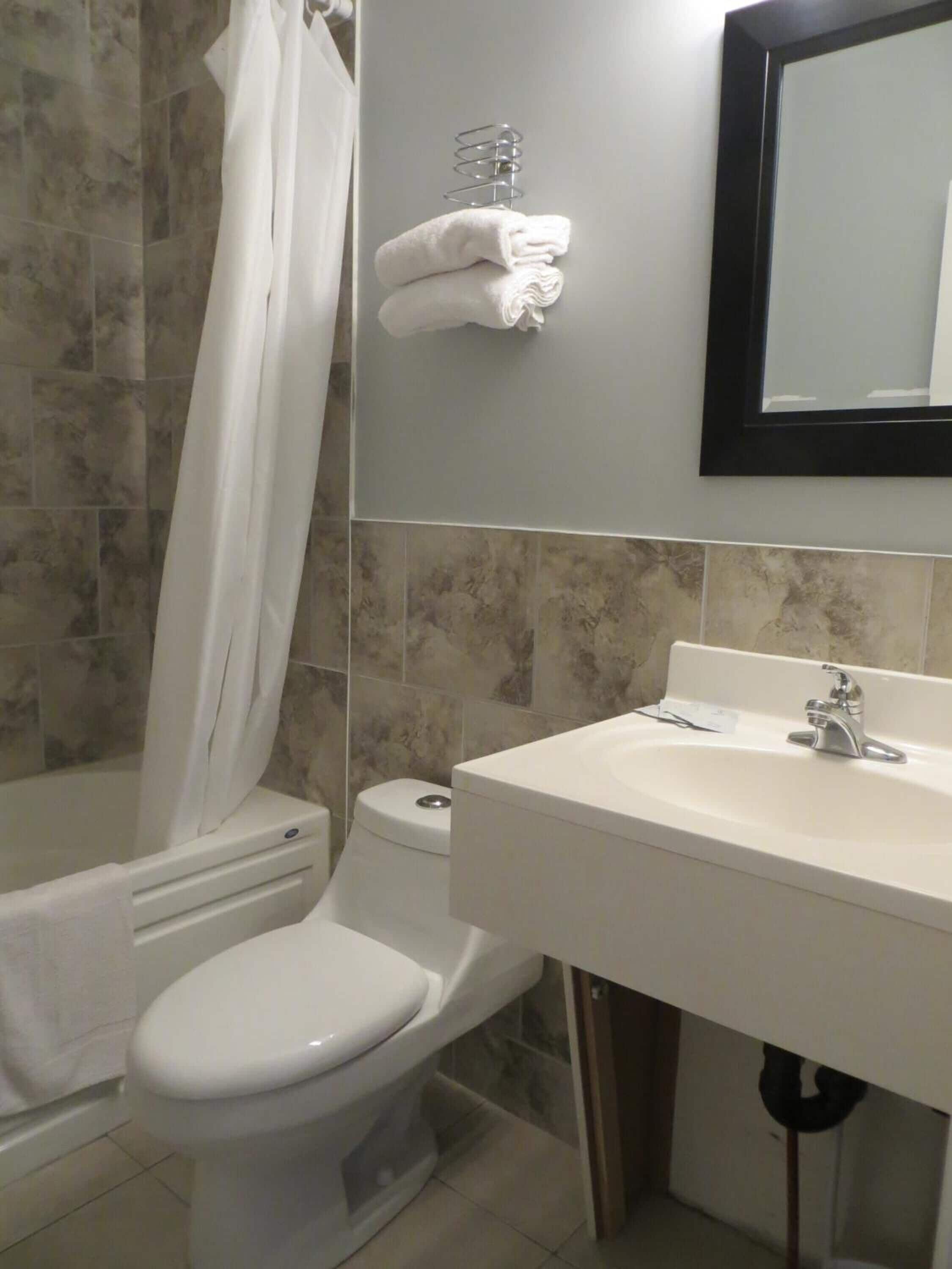 A bathroom with a toilet, sink, and shower curtain.