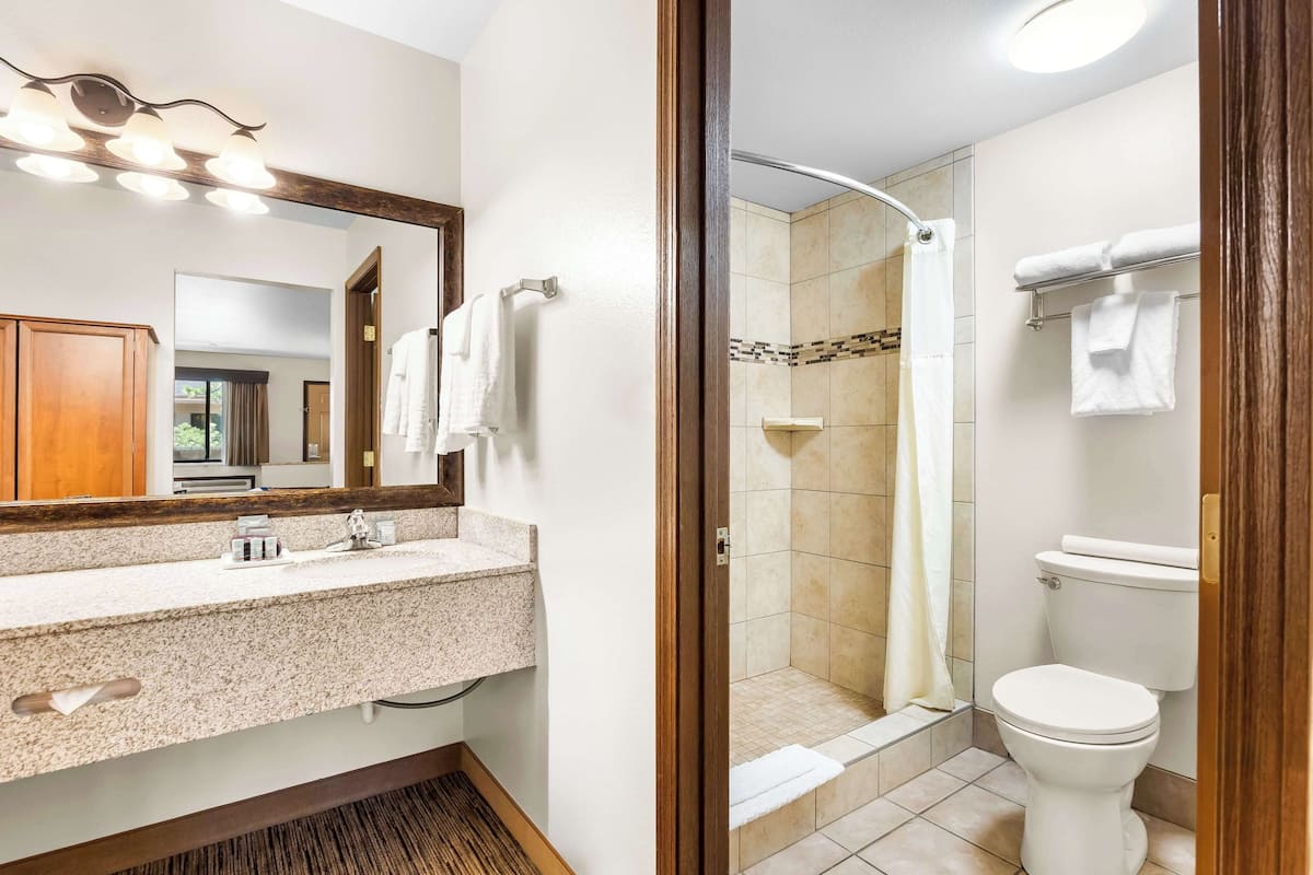 standard room, 1 king bed, non smoking, refrigerator & microwave | blackout curtains, iron/ironing board, free cots/infant beds