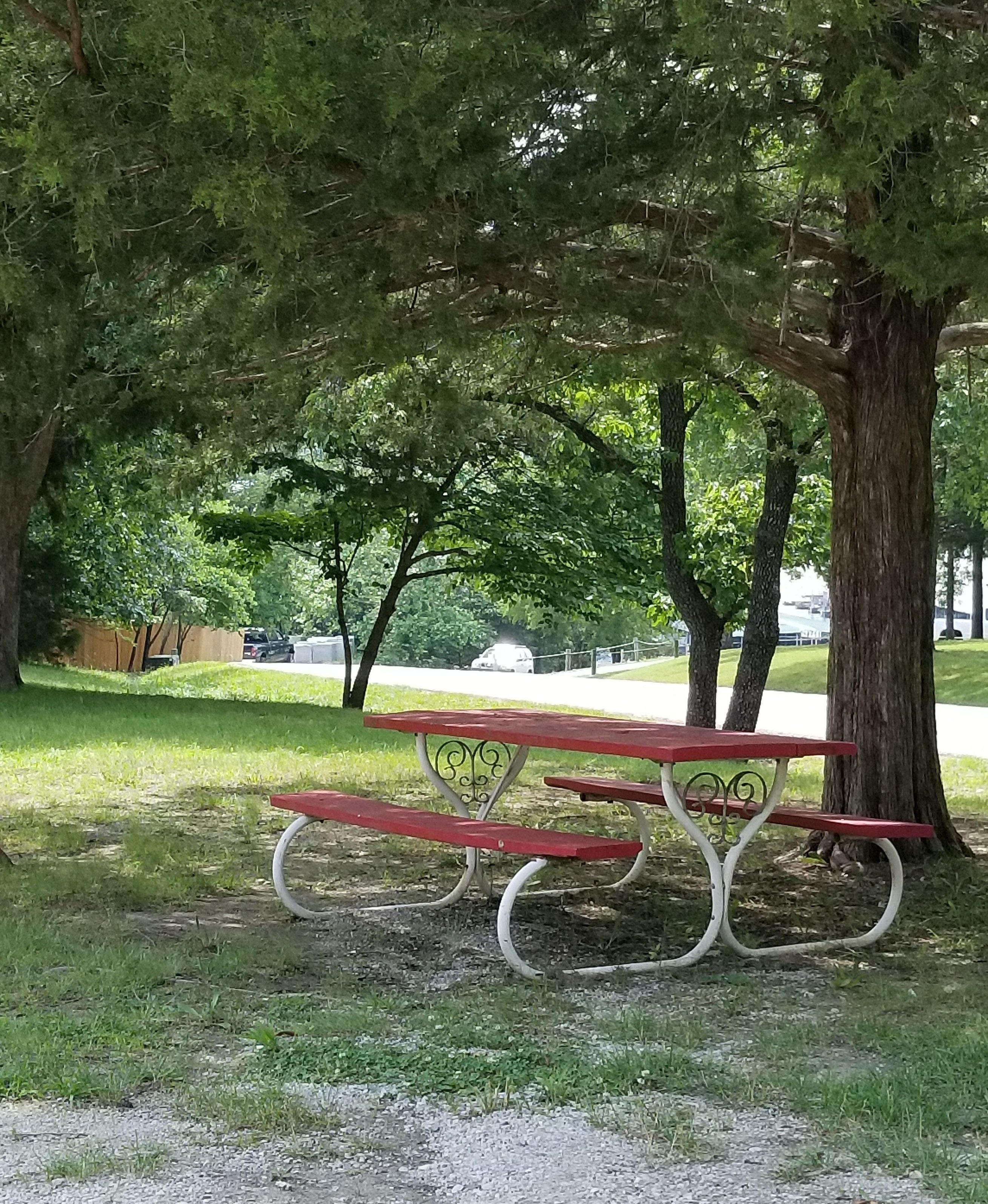 Une table de pique-nique sous un arbre, dans un parc.