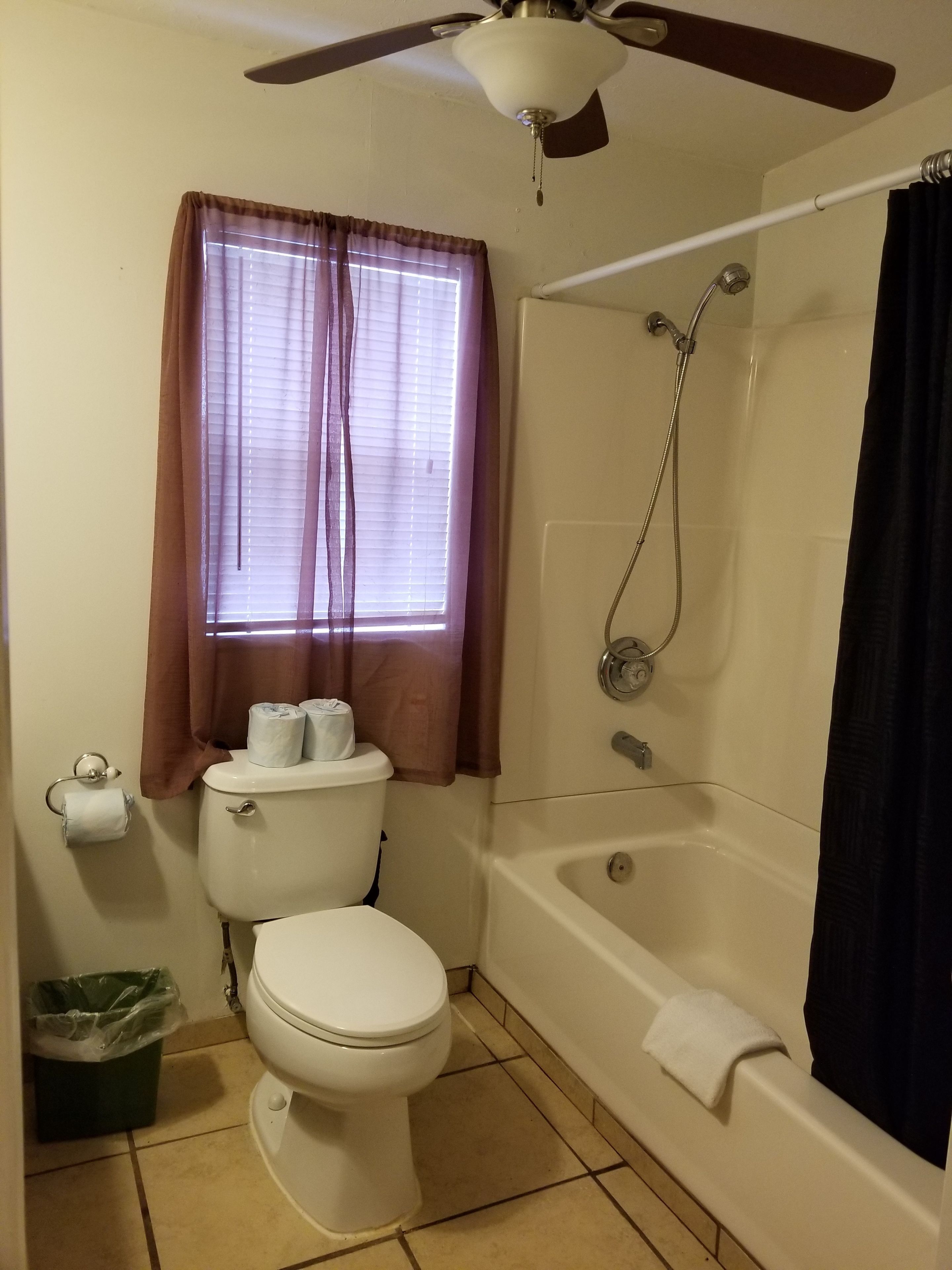 A bathroom with a toilet, a shower, and a ceiling fan.