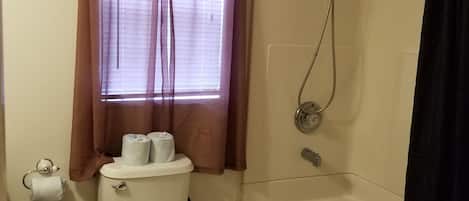 A bathroom with a toilet, a shower, and a ceiling fan.