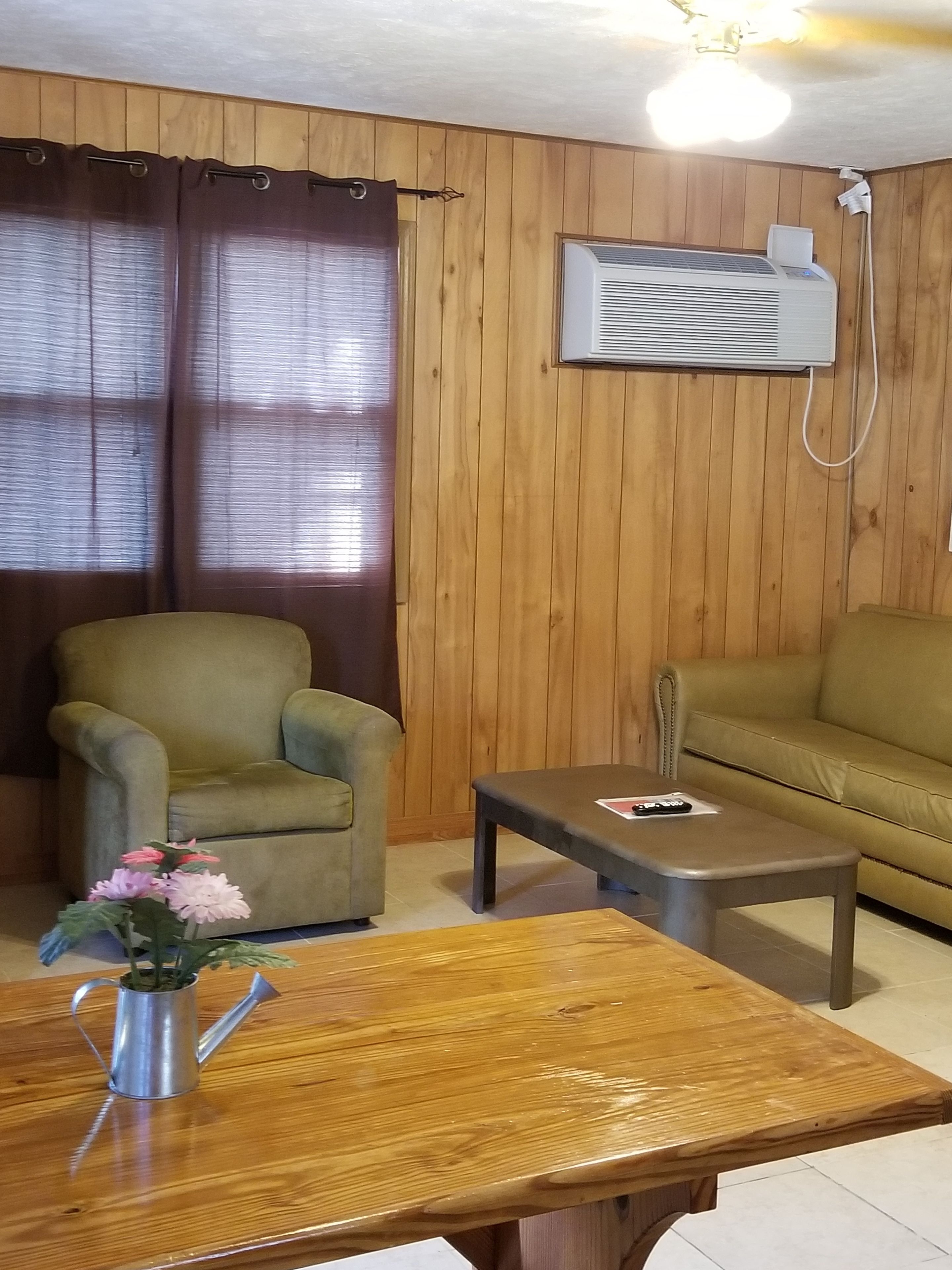 A room with wooden panel walls, a green armchair, a sofa, a wooden coffee table, and a metal watering can with flowers.