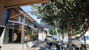 A building with large windows, outdoor seating, and a tree in front.