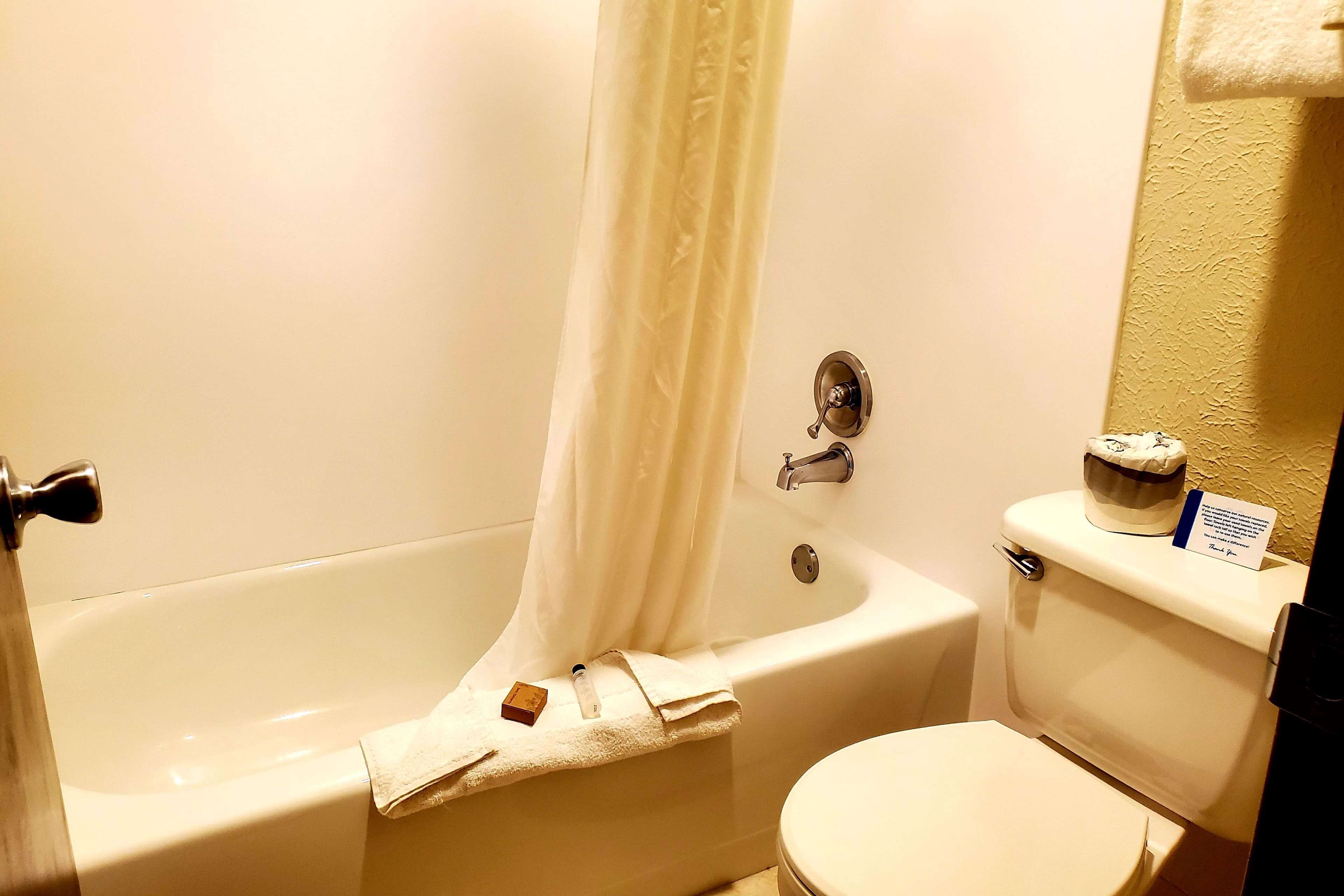 A bathroom with a bathtub, toilet, and a shower curtain.