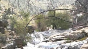 A person standing on a rock by a waterfall in a natural setting. - Riverview Lodge (Kernville)