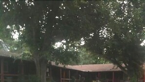 A house with a covered porch, a lawn, and a flower bed with yellow flowers. - Riverview Lodge (Kernville)