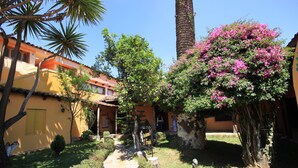 Garden - Hotel Plaza Santo Domingo (San Cristóbal de las Casas)