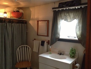 A bathroom with a white sink, a green frog statue, a window with a checkered curtain, and a chair. - The Woods Lodge (Northfield)