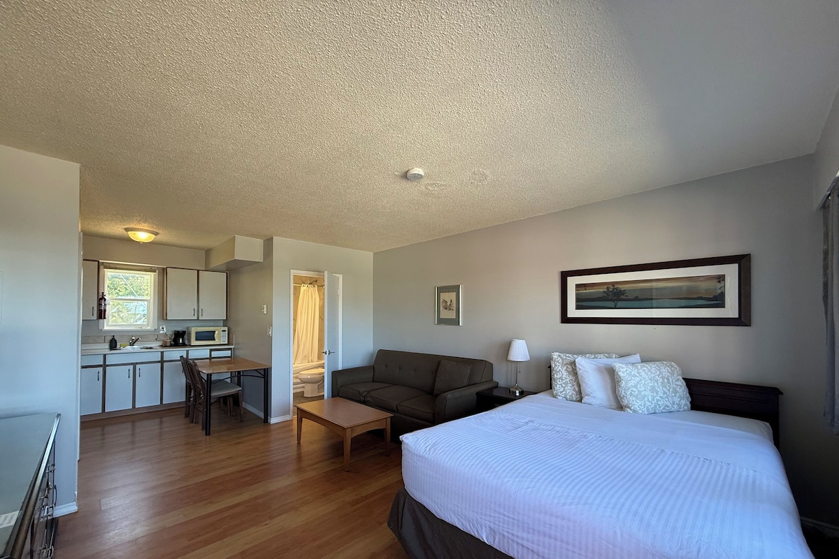 A bedroom with a bed, a sofa, a desk, and a kitchenette.