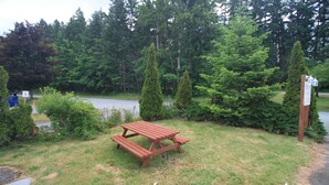Une table de pique-nique se trouve dans un espace herbeux, avec un lac et des arbres en arrière-plan.