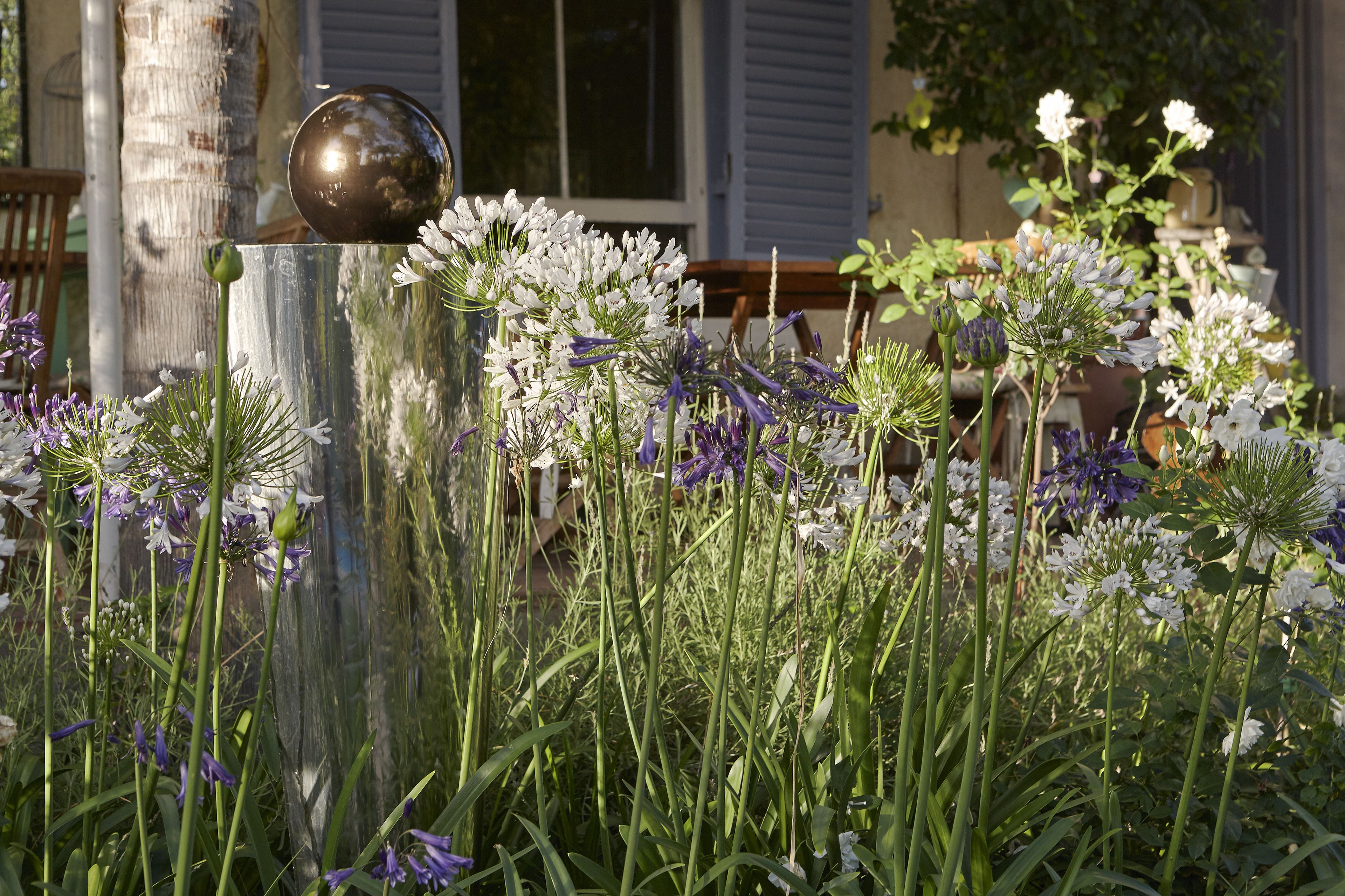 Un giardino con diversi fiori e una scultura in metallo.