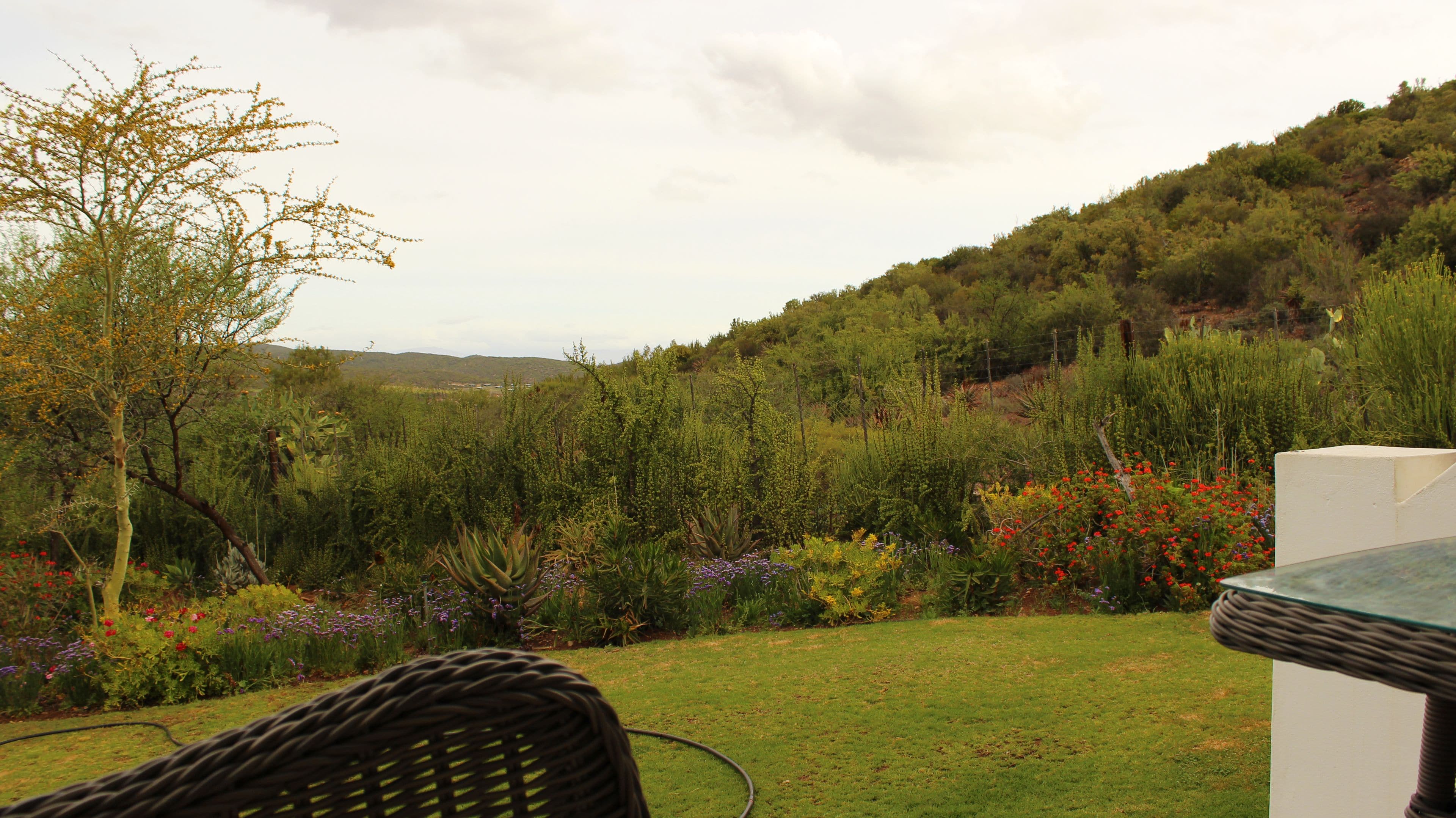 A garden with a variety of plants and flowers, a grassy area, and a view of a hilly landscape.