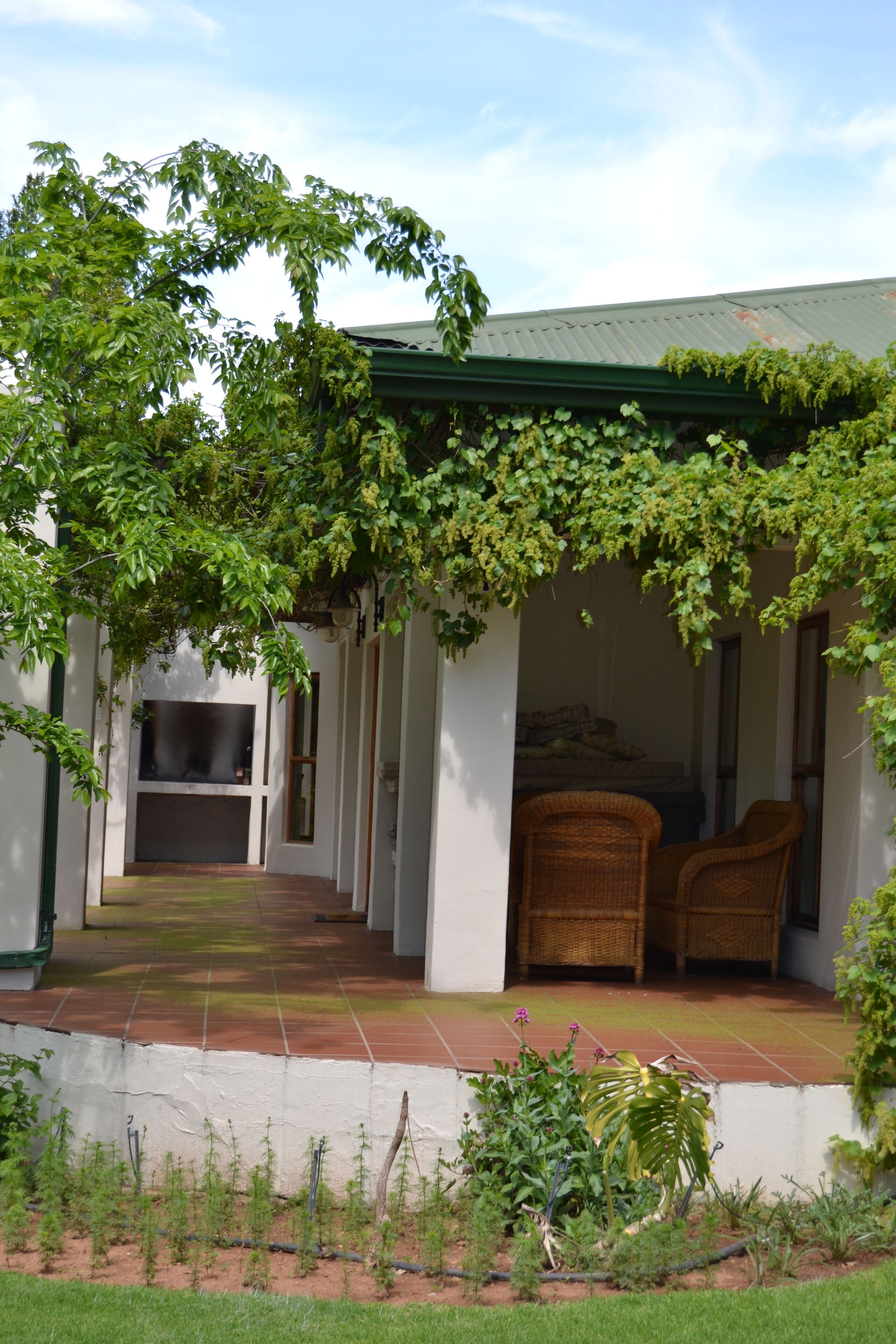Un espacio al aire libre cubierto con un sendero que lleva a una zona de estar bajo una pérgola con plantas trepadoras.