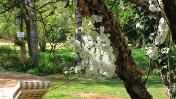 3 outdoor pools, pool umbrellas, sun loungers