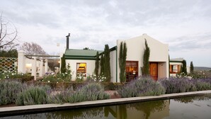 A modern building with a green roof and white walls, surrounded by a garden with lavender plants and a reflecting pool.