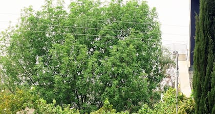 Berluda Farmhouse & Cottages