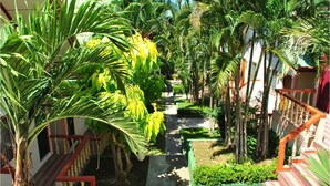 A narrow pathway flanked by lush greenery and palm trees, leading to a building with a staircase and a railing. - Karon Village Hotel (Karon)