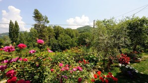A garden with various flowers and trees. - Agriturismo Casa Brunori (Foligno)
