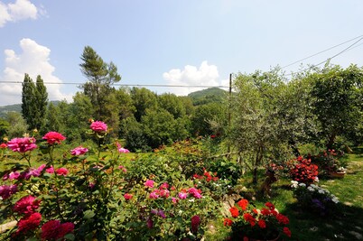 Agriturismo Casa Brunori