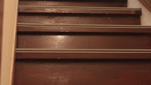 A wooden staircase with a plant at the top. - Big John's Place (Seoul)