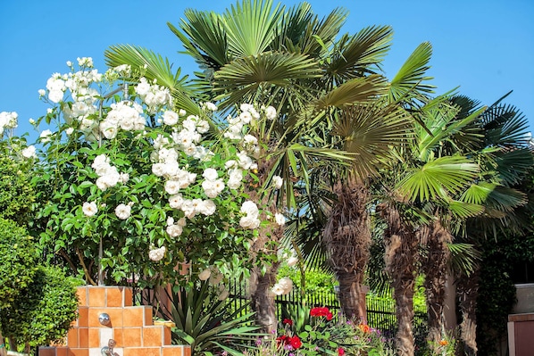 Un jardín con flores blancas, palmeras y un muro de ladrillo.