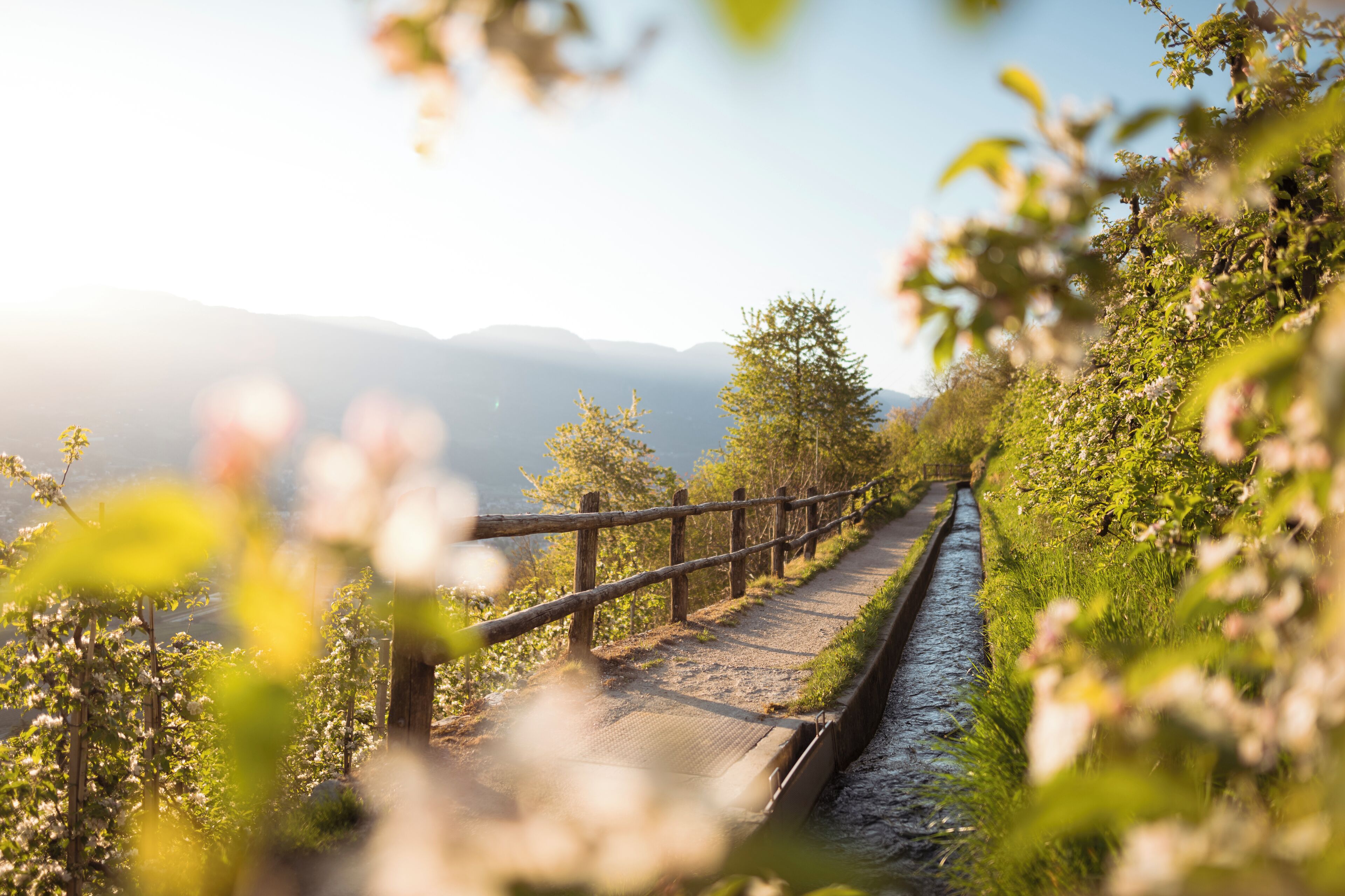 A narrow pathway with a wooden fence, surrounded by greenery and a body of water, leading towards distant mountains.
