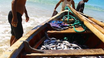 Un bote lleno de peces, con gente de pie cerca en la playa.