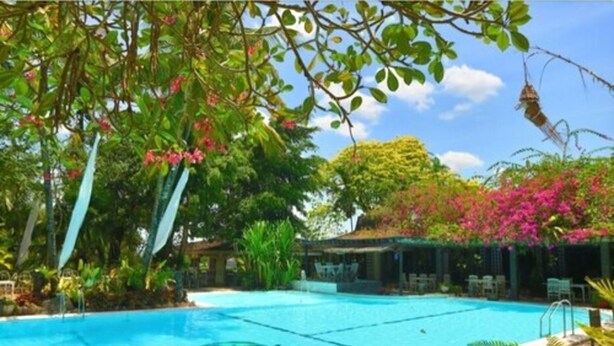 Una piscina con agua azul cristalina, rodeada de exuberante vegetación y flores rosadas.