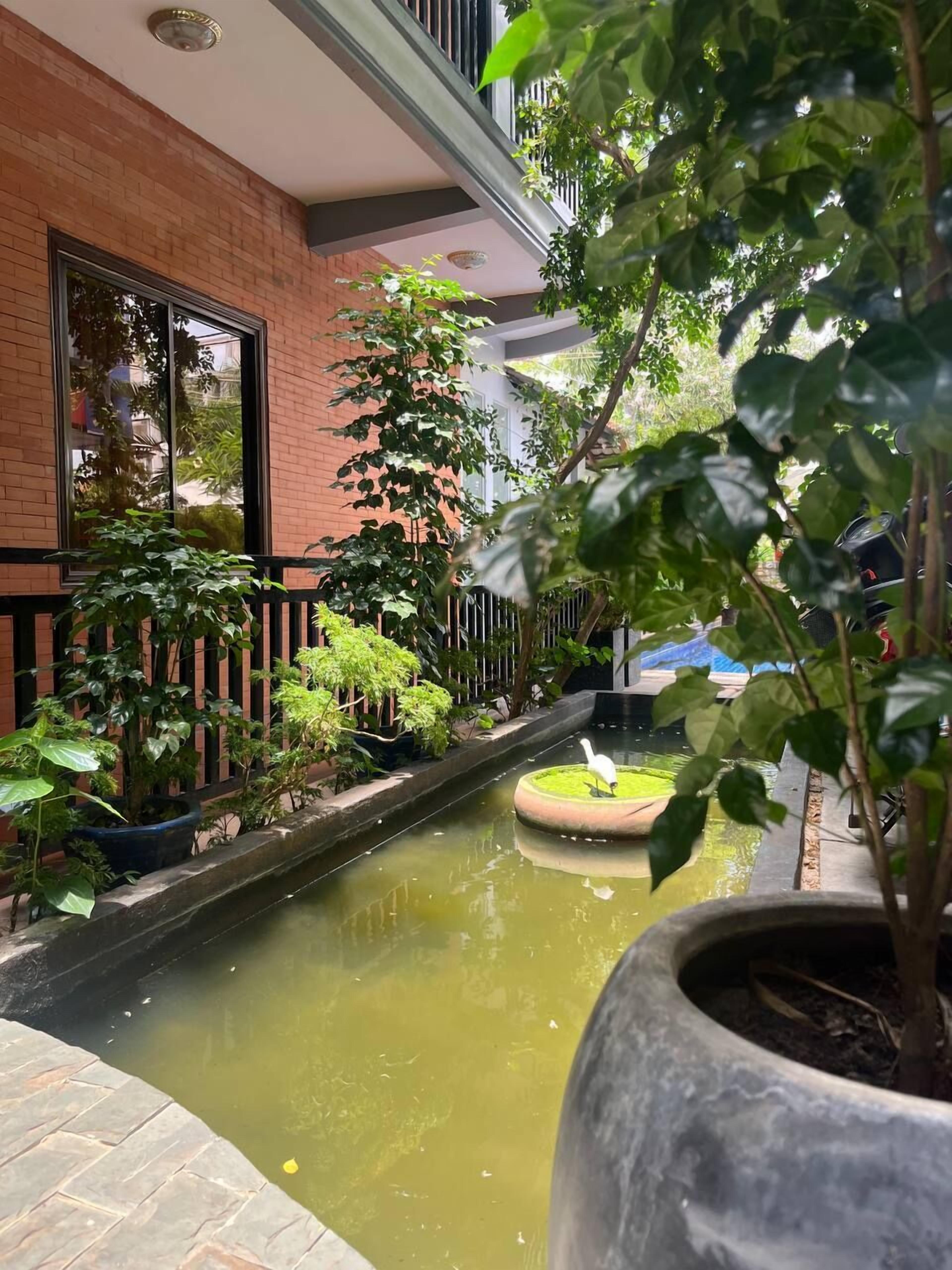 Foto - Jasmine Lodge Siem Reap