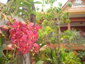 Children's area - Jasmine Family Hostel (Siem Reap)