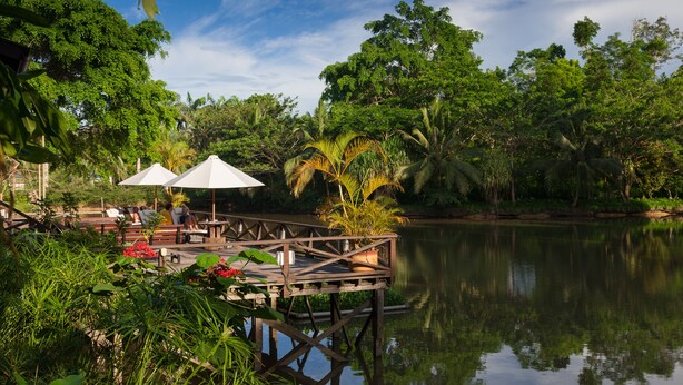 A wooden dock extending over a calm lake, surrounded by lush greenery and trees. There are two white umbrellas providing shade. - Sepilok Nature Resort (Sandakan)