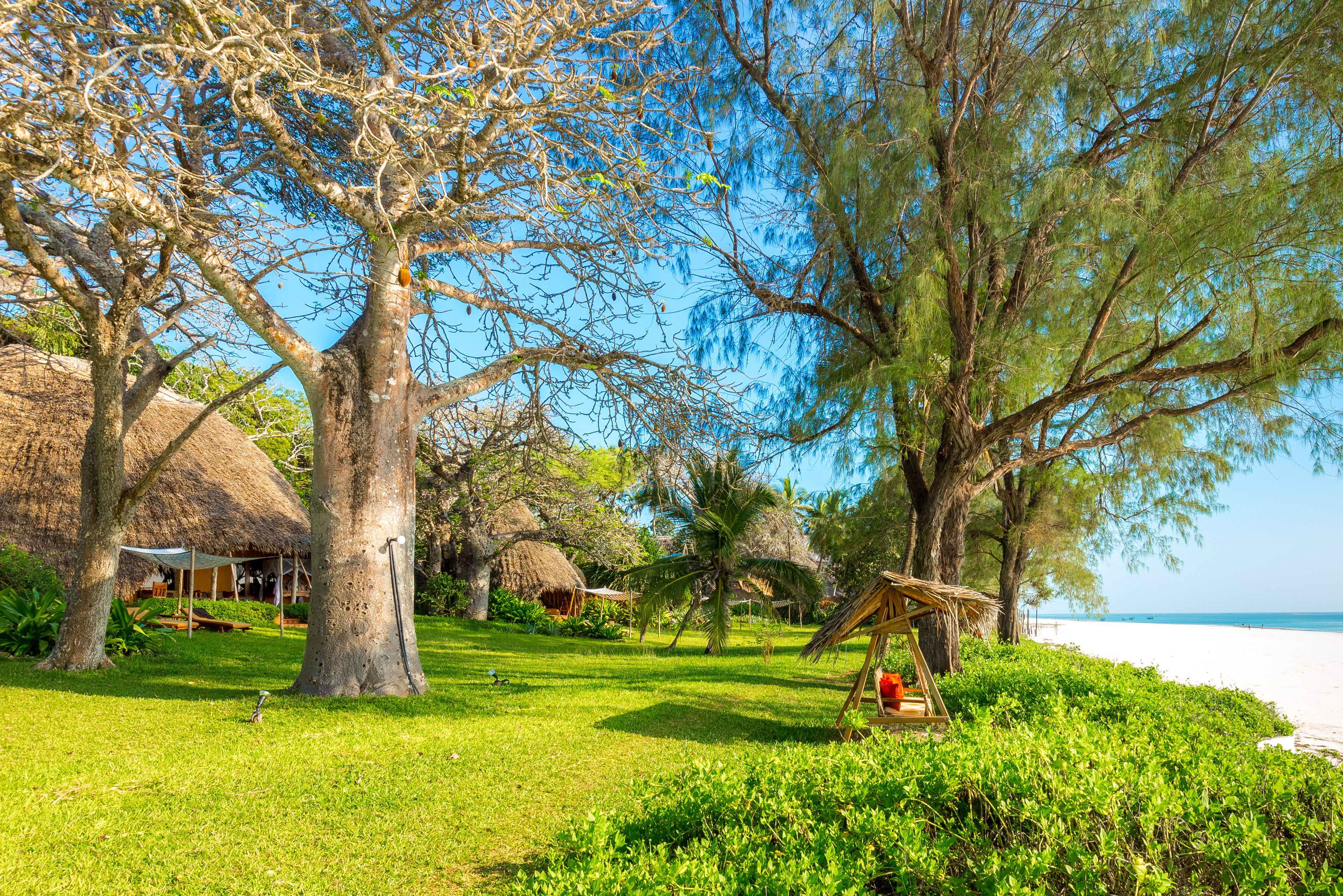 A tropical resort with thatched-roof huts, lush greenery, and a beach view.