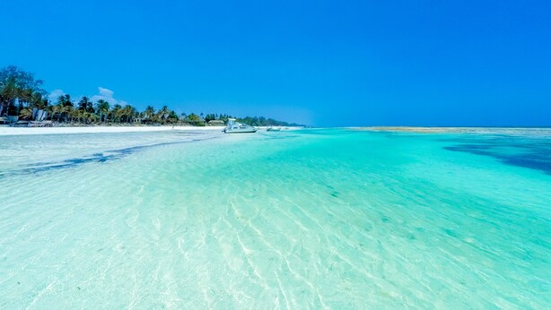 Una playa con aguas turquesas cristalinas, una orilla de arena y una hilera de palmeras.