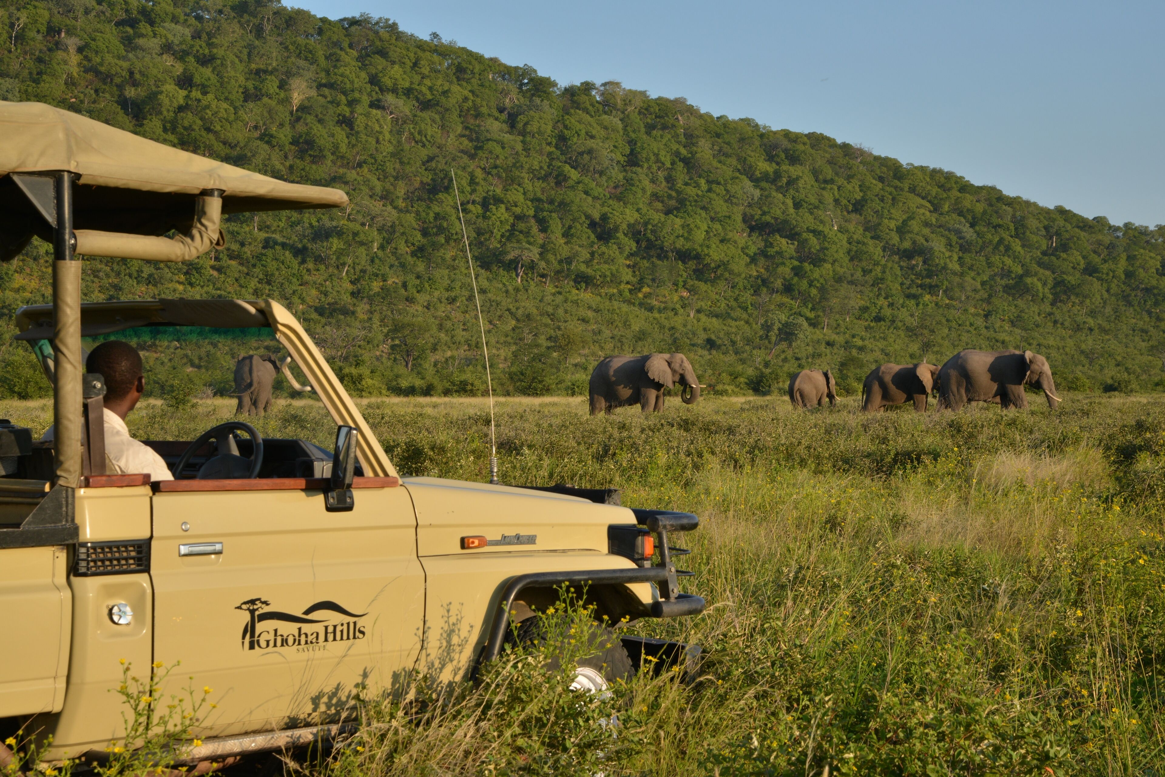 A safari vehicle with a driver and a passenger, surrounded by tall grass and a group of elephants in the background.