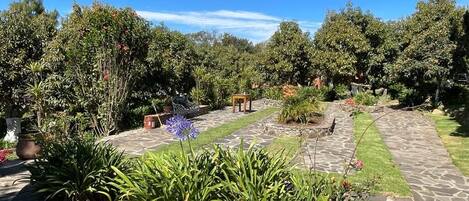 Un jardín con senderos de piedra, diversas plantas y árboles.