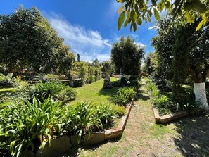 Property grounds - Cabañas La Huerta (Mazamitla)