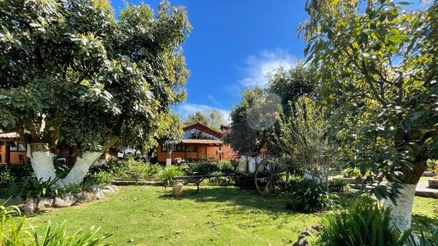 Un jardín bien cuidado con una variedad de plantas y árboles, un banco de madera y un carruaje rústico.