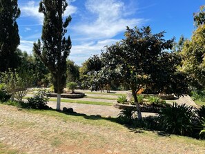 Cabaña, 2 habitaciones, chimenea | Zona de estar | Una televisión, una chimenea