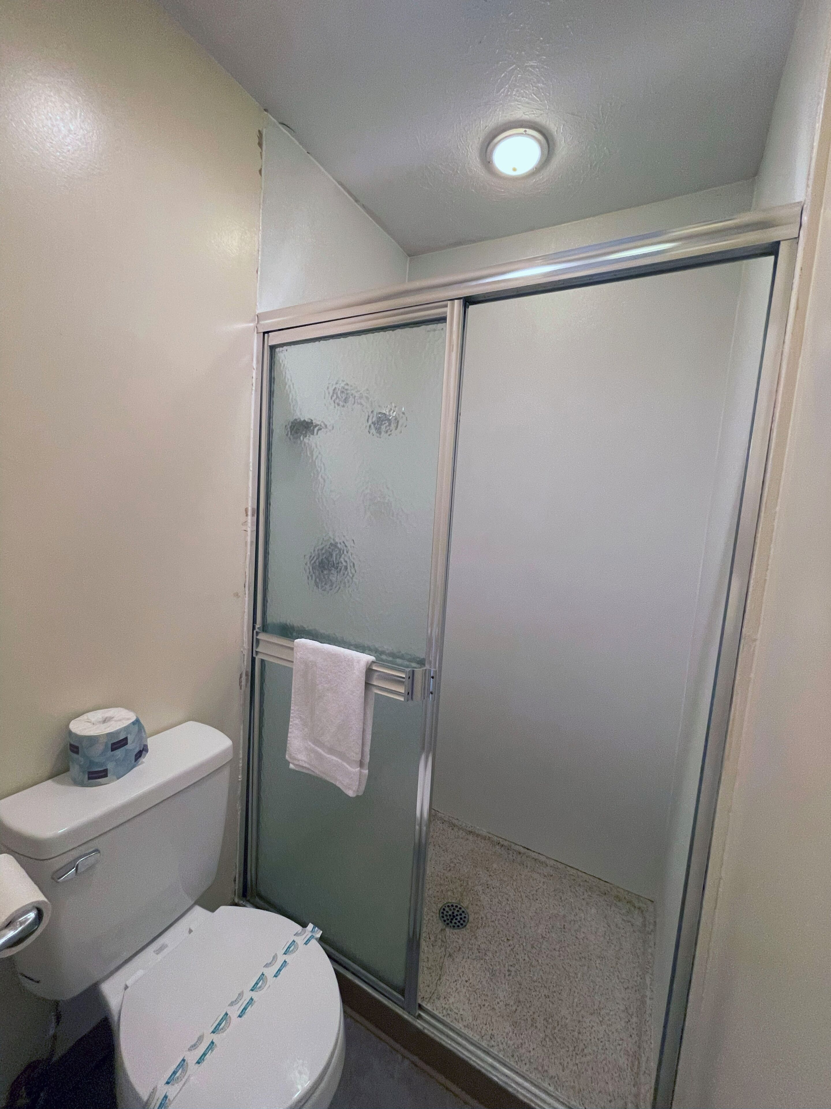 A bathroom with a toilet, a glass shower enclosure, and a towel hanging on the shower door.