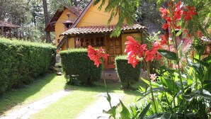Una casa amarilla con tejado de baldosas, rodeada de setos cuidados y plantas con flores.