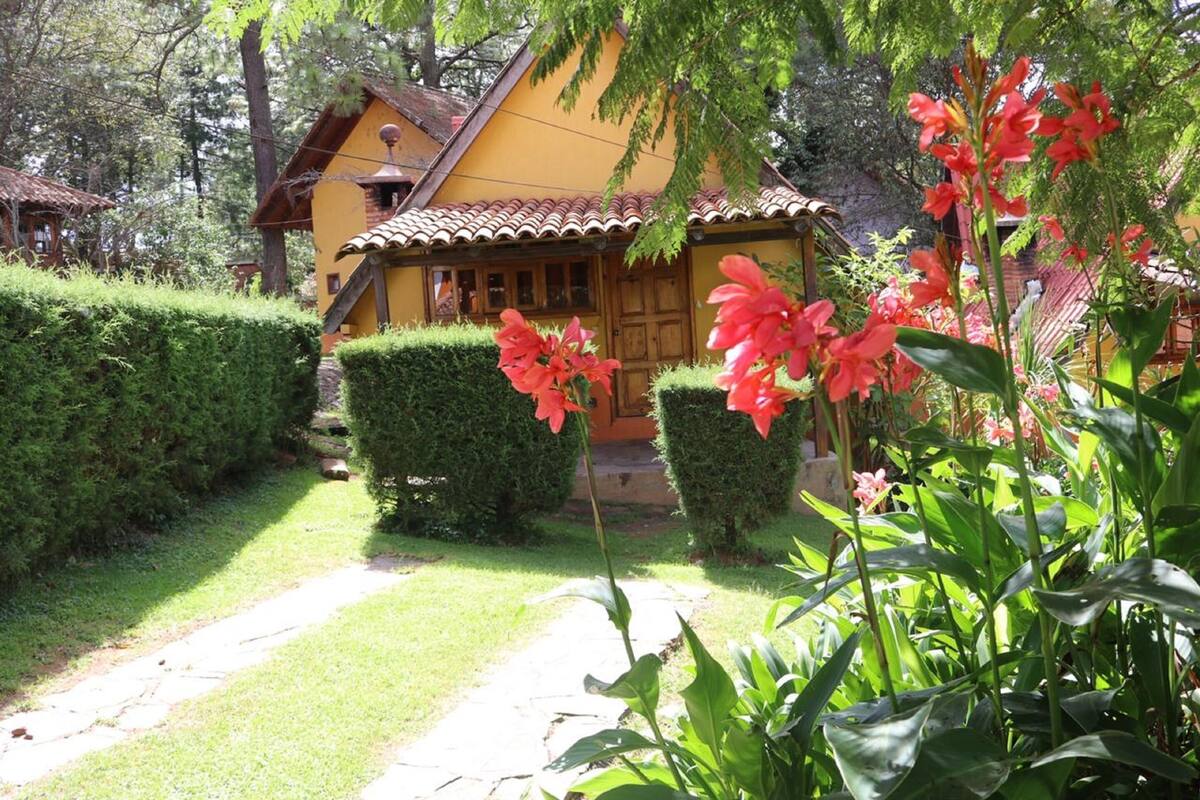 A yellow house with a tiled roof, surrounded by well-maintained hedges and flowering plants.
