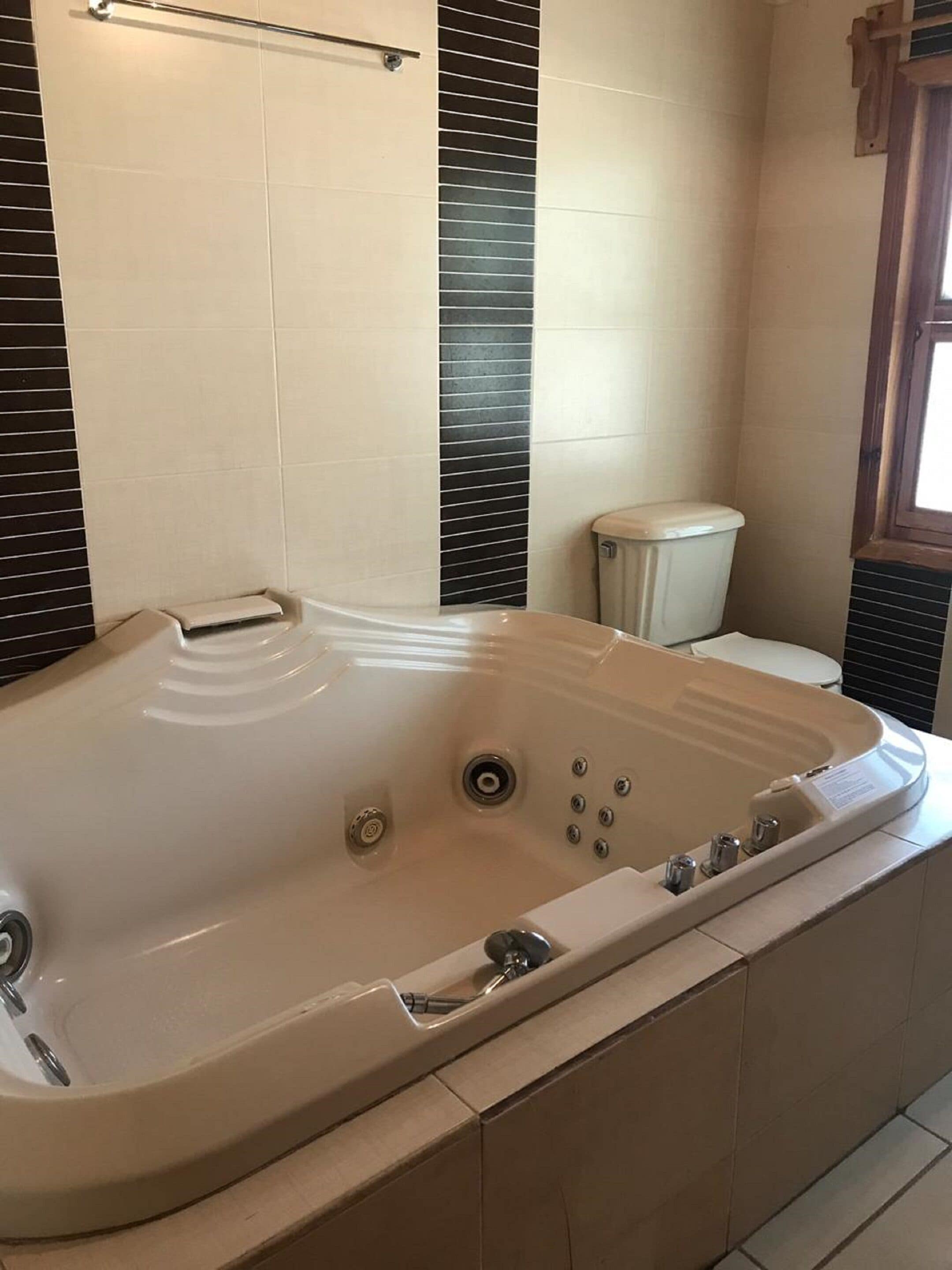 A bathroom with a large bathtub, a toilet, and a window.