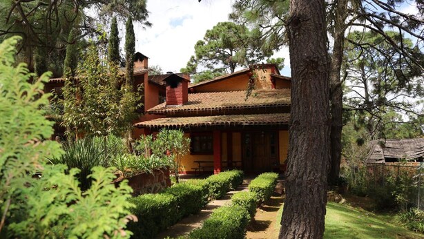 Una casa rústica con techo de tejas, rodeada de exuberante vegetación y un sendero de jardín cuidado.