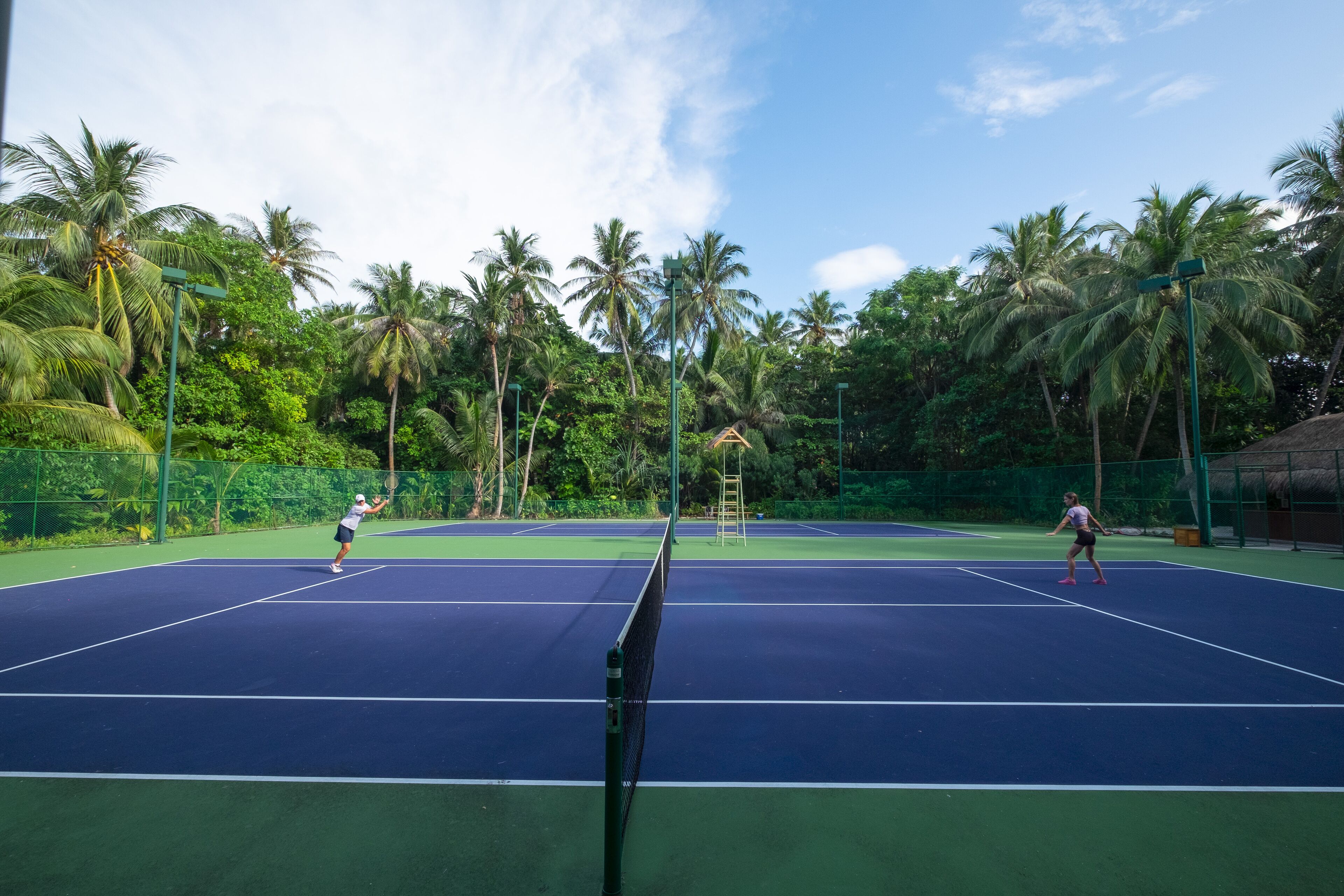 A tennis court surrounded by palm trees and greenery.