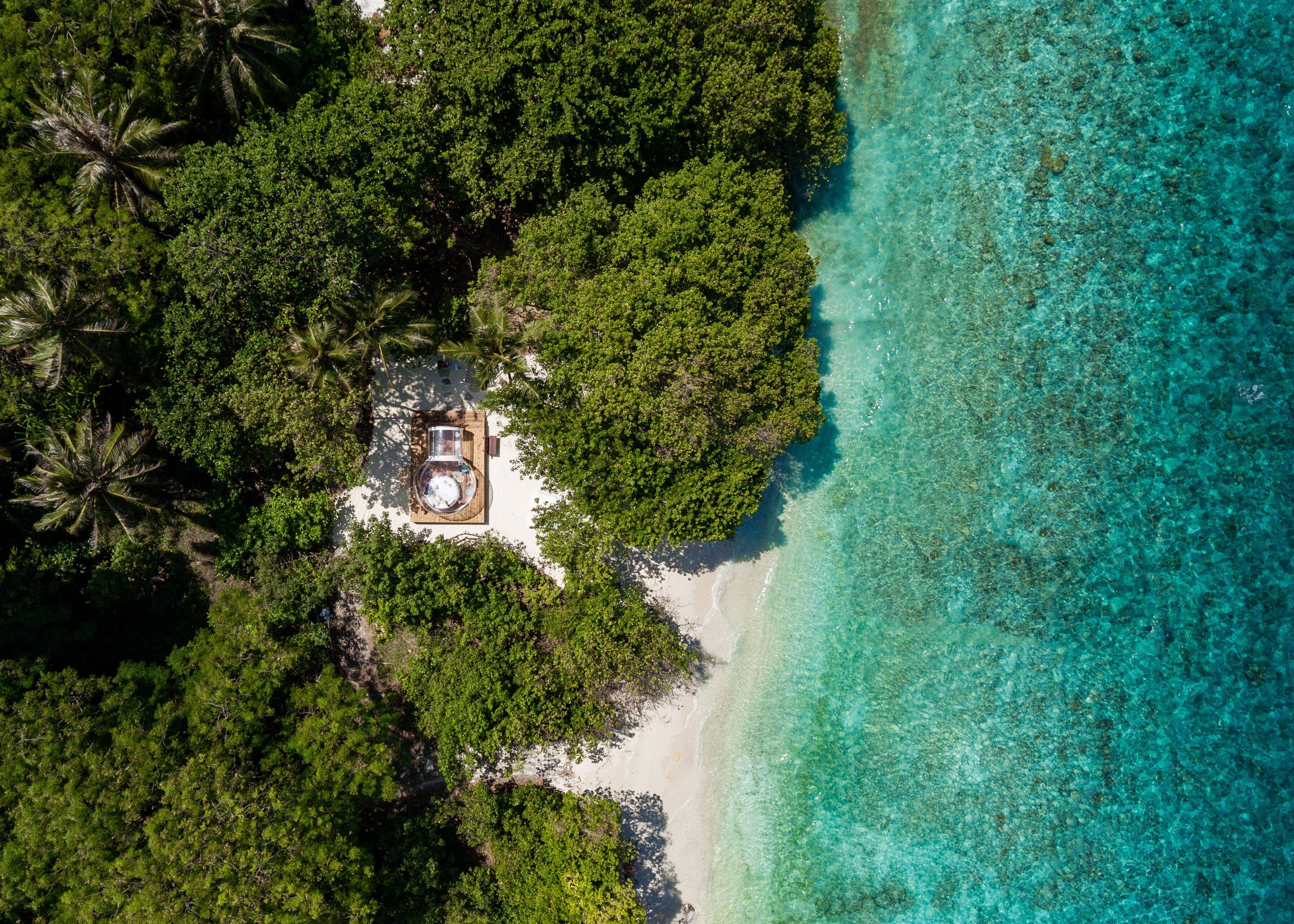 An aerial view of a beachside property with a small building surrounded by dense greenery and clear turquoise waters.
