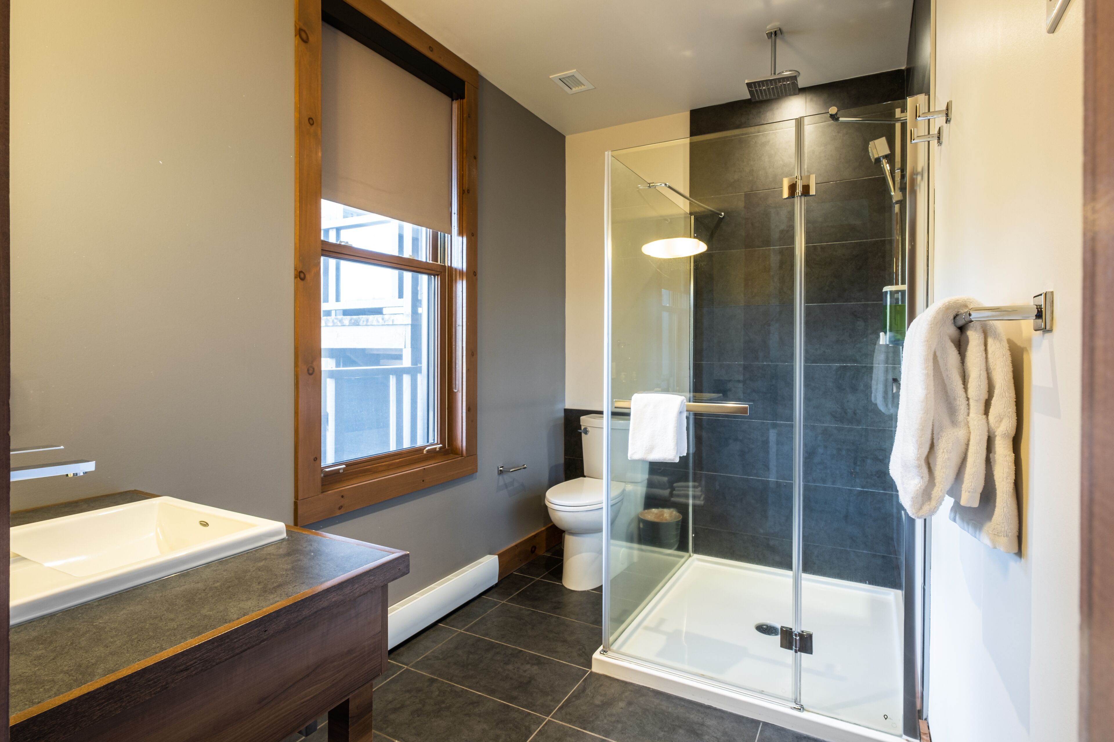 Une salle de bain moderne avec une douche à parois de verre, un lavabo blanc et des toilettes.