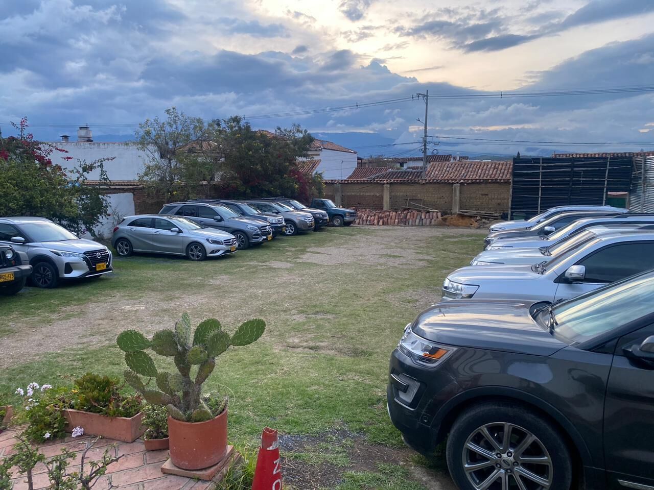 A parking lot with several cars and a cactus plant in the foreground.