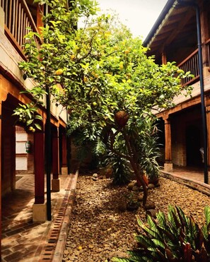 View from room
