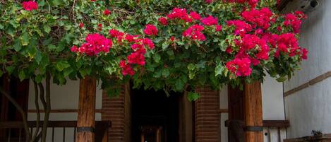 A staircase leading to a wooden door, surrounded by lush green plants and vibrant red flowers.