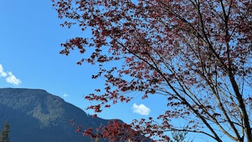 Un paisaje montañoso con cielo despejado.